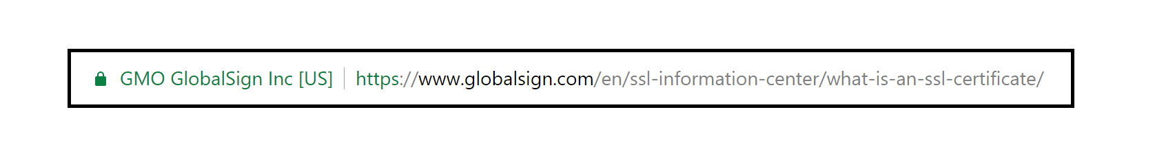 Lock Icon on URL